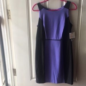 Liz Claiborne Purple Dress 👗